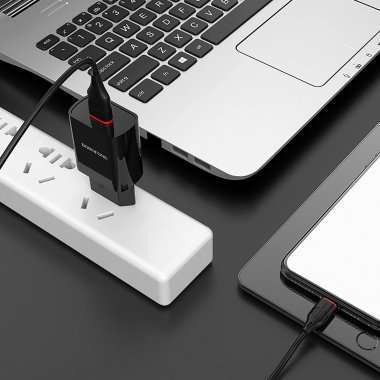Сетевое зарядное устройство Borofone BA20A Sharp USB с кабелем micro-USB (черное) &mdash; 2
